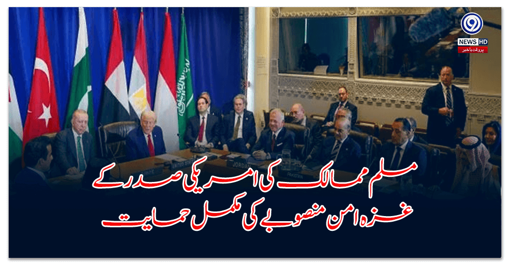 Muslim countries fully support US President's Gaza peace plan